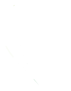 Logo_SPBE_blanc